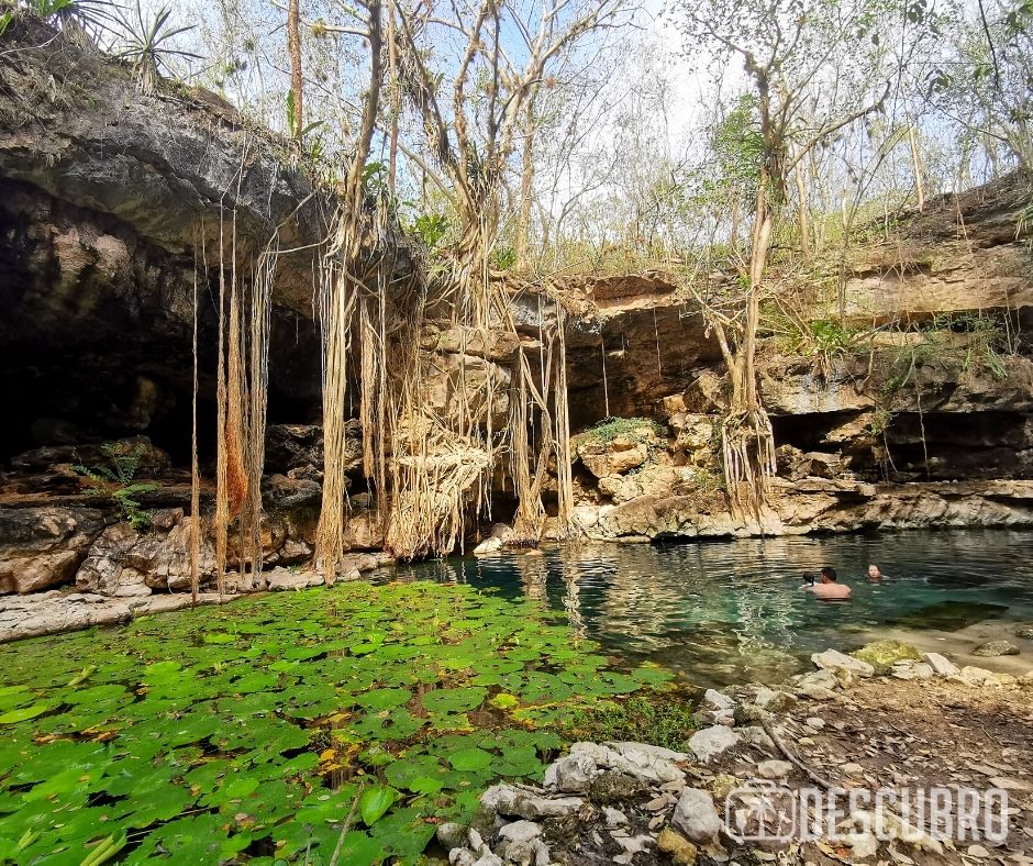 El cenote de San Antonio Mulix perteneciente al municipio de Umán está ubicado a poco más de media hora de la ciudad de Mérida.