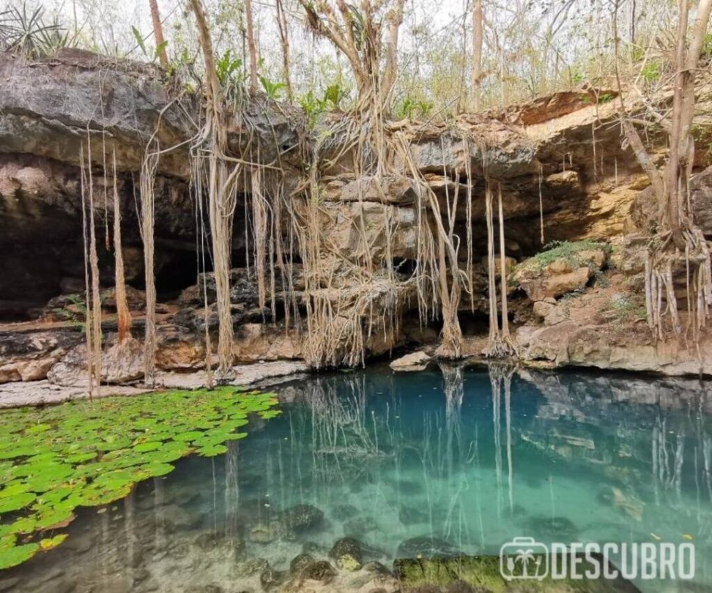 Imagen del cenote X´Batún en San Antonio Mulix, en donde también podrás visitar el cenote Dzombakal. 