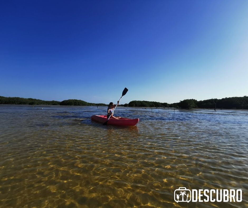 Kayak: puede ser para una o dos personas, en este caso tú tendrás que remar.