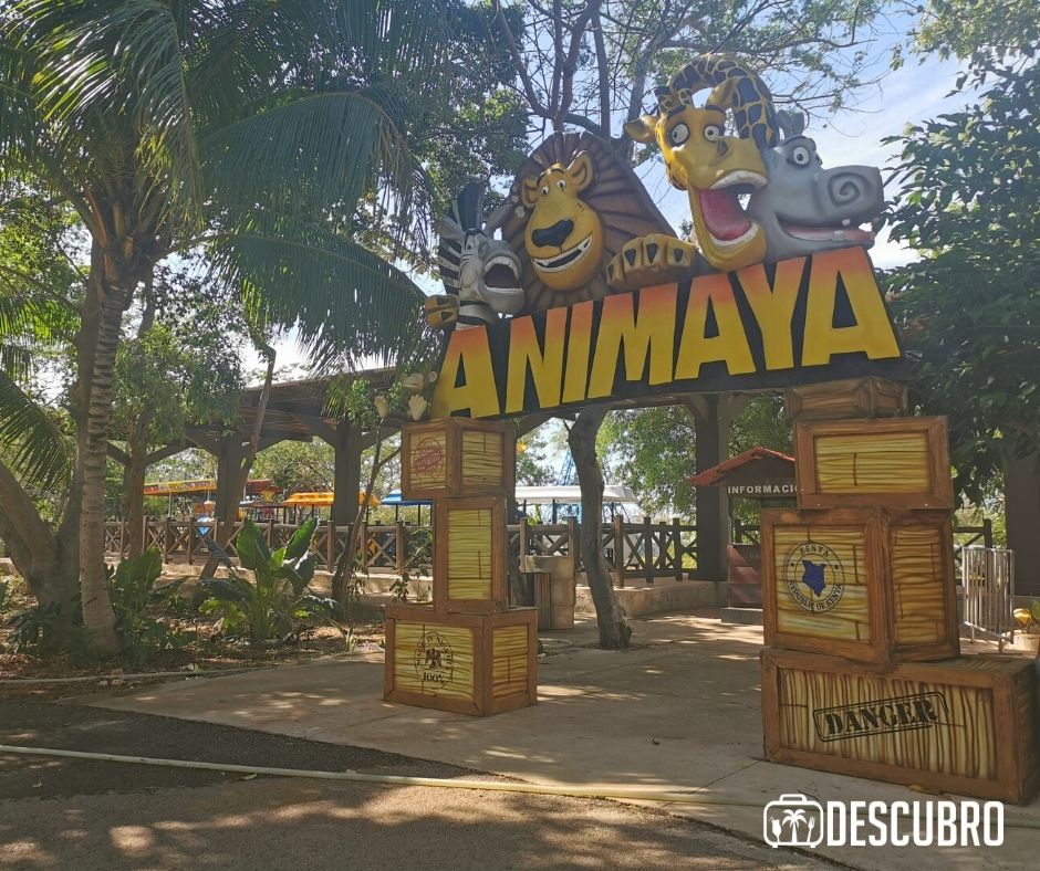 El parque zoológico de Animaya en Caucel es una muy buena opción  para llevar a los pequeños.