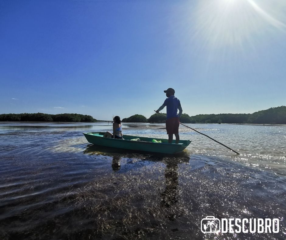 En sisal puedes hacer un tour en Kayak o Chalana al ojo de agua 