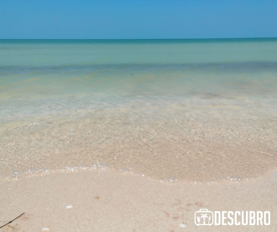 Si solo quieres disfrutar del día en la arena y frente el mar, puedes optar por la opción de rentar alguna de las palapas instaladas en la playa